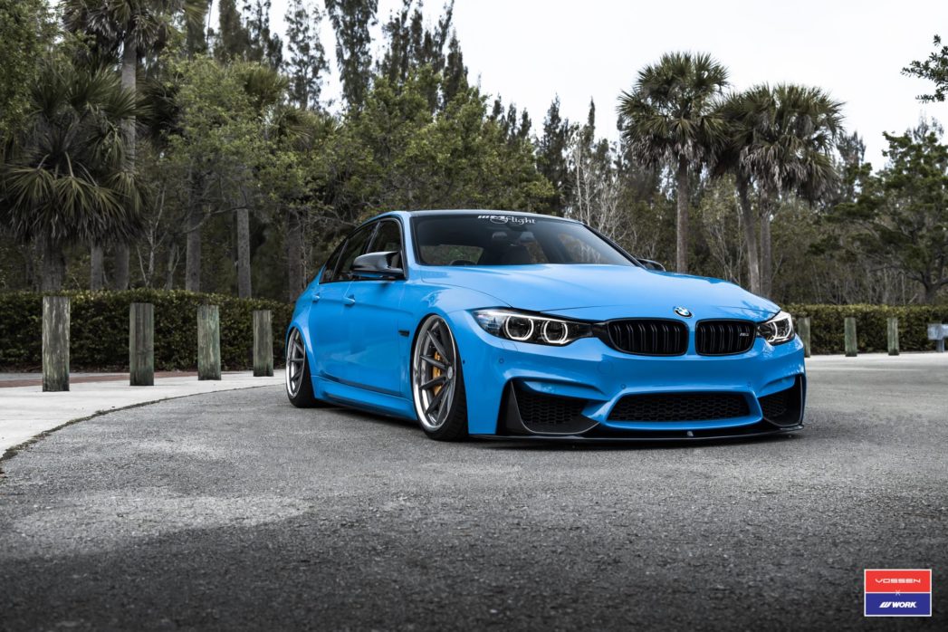 Vossen
