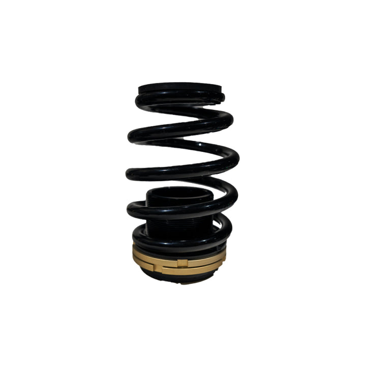 BLOX Racing 12-13 Honda Civic Si Plus Series Fully Adjustable Coilovers