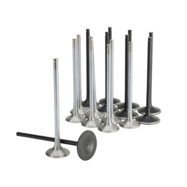 Skunk2 Honda K20C1 Alpha Series Intake & Exhaust Valve Set (Standard Compression)