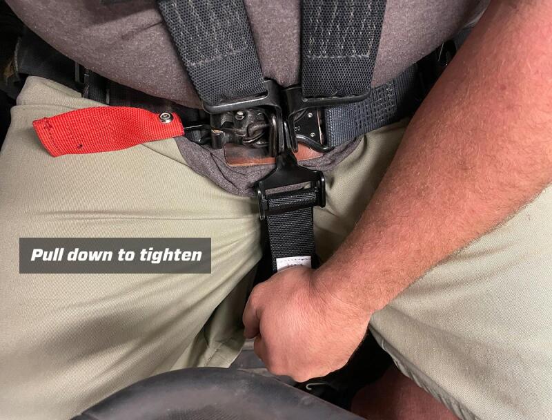 PRP 5.2 Harness - Gold