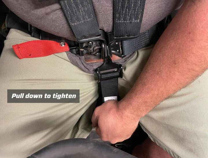 PRP 5.2 Harness - Gold