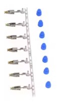 2843.jpg