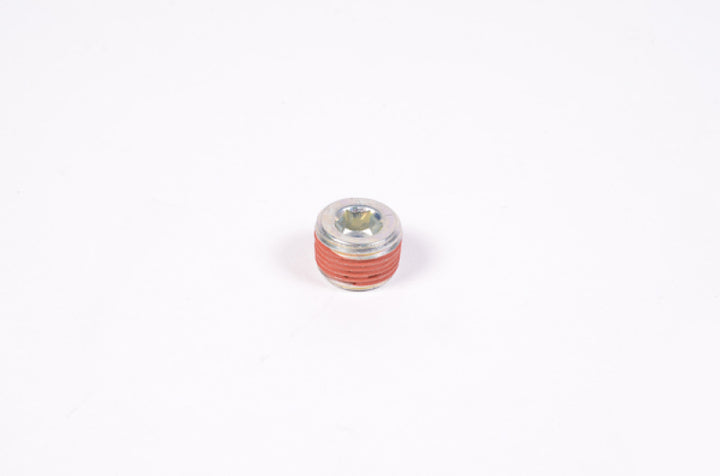 Radium Engineering 3/8in NPT Plug