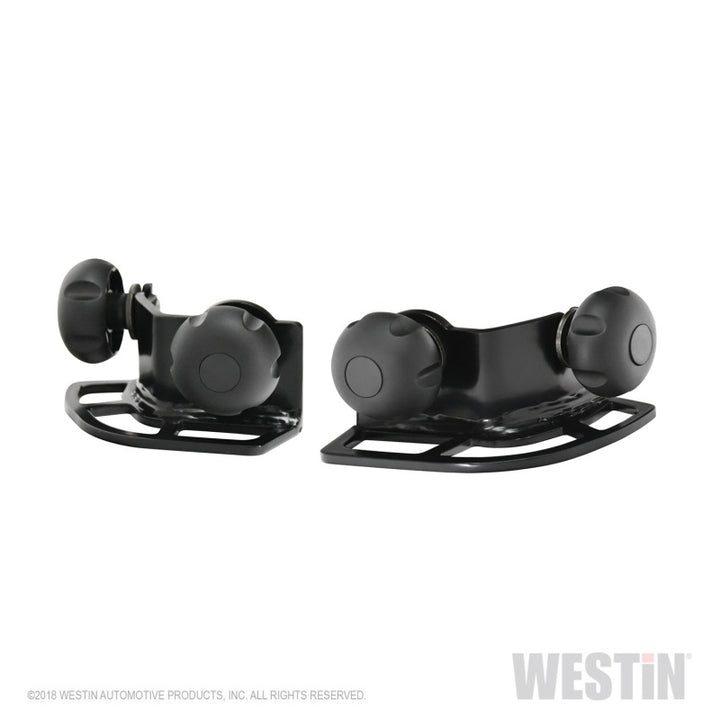 Westin Multi-Point HLR Adjustable Tie Down - Black