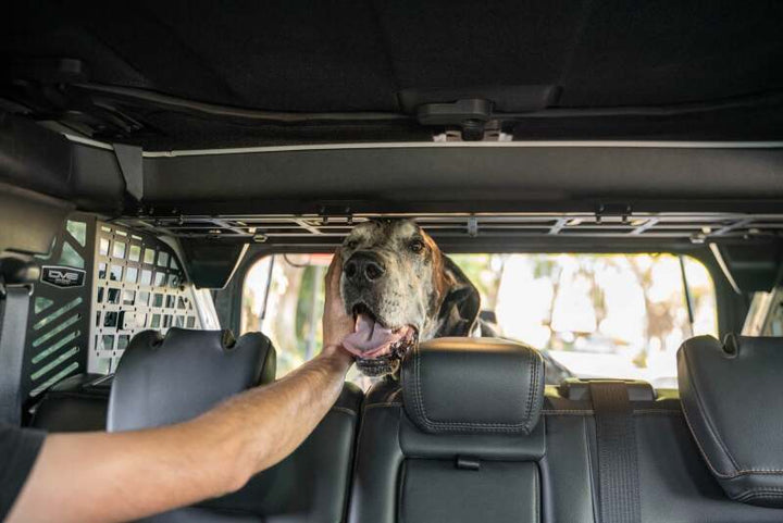 DV8 Offroad 2021-2024 Ford Bronco Dog Barrier