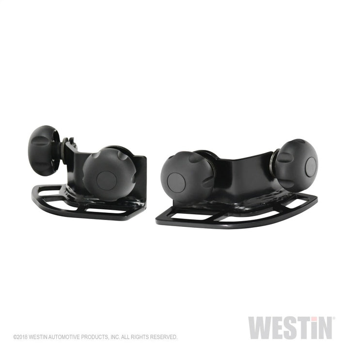 Westin Multi-Point HLR Adjustable Tie Down - Black