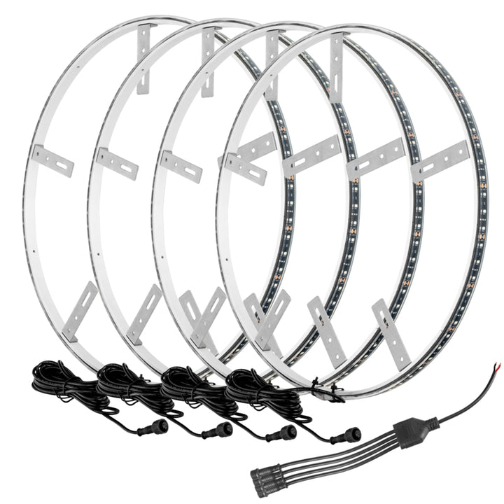 Oracle LED Illuminated Wheel Rings - Aqua