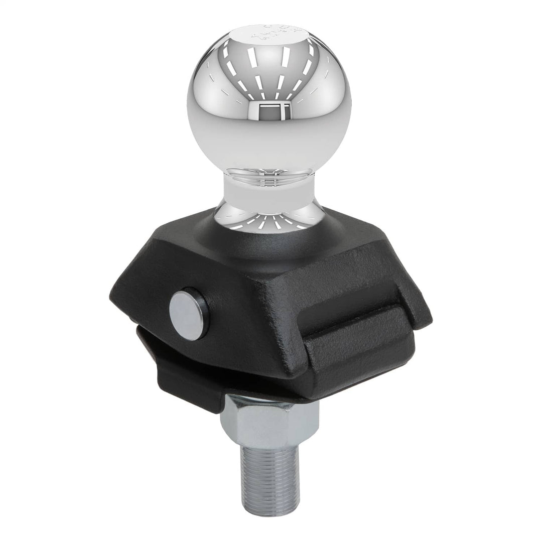CUR-40246_01.jpg