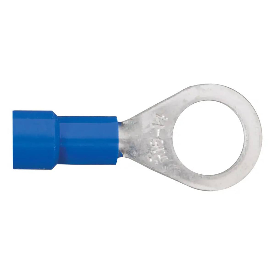 CUR-59525_01.jpg