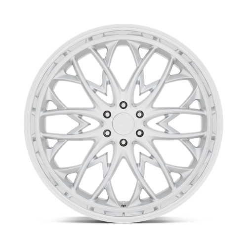 OG 22X9.5 6X5.5 106.1 SLVD +25