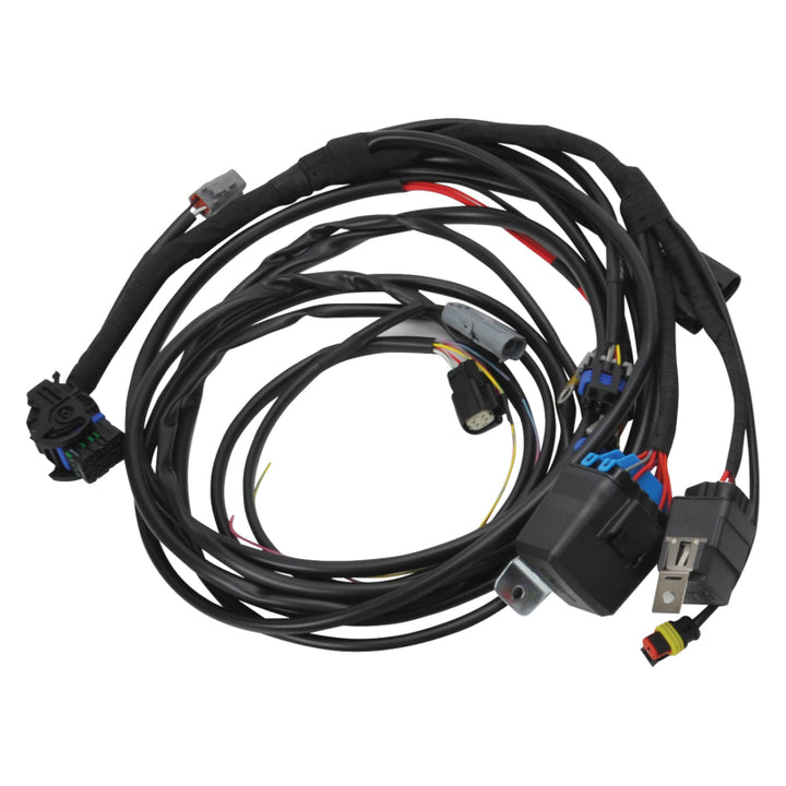 Edelbrock 15-17 Ford Coyote Pro-Flo 4+ EFI Engine Management System