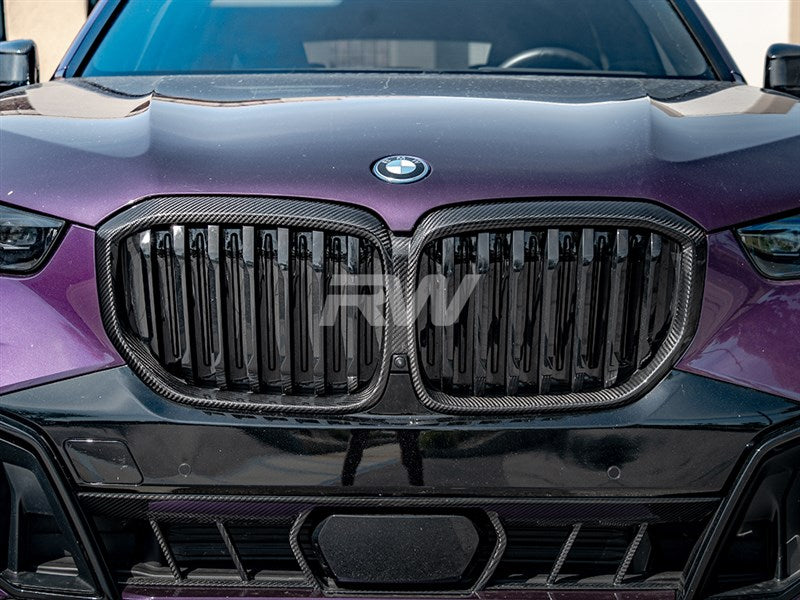 RW Carbon Carbon Fibre Kidney Grille Surrounds - view 2