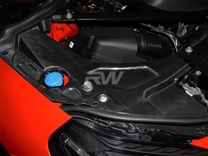 RW Carbon Dry Carbon Fibre Engine Bay Trim Set - view 2
