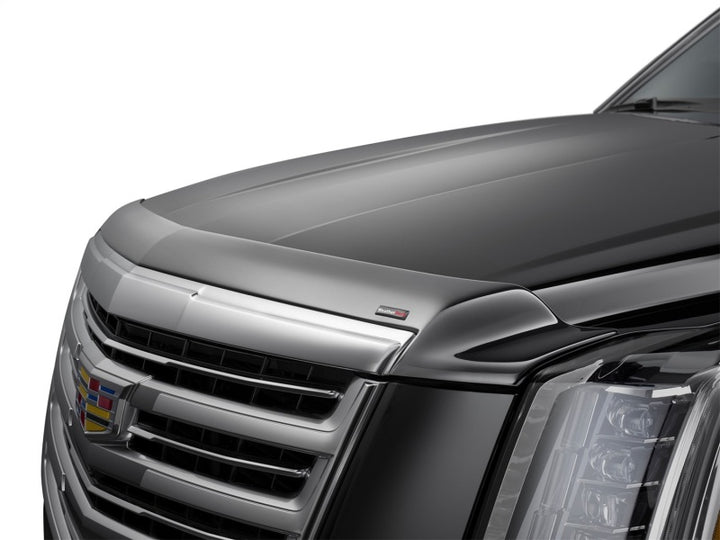 WeatherTech 24-25 Toyota Tacoma Hood Protector - Black