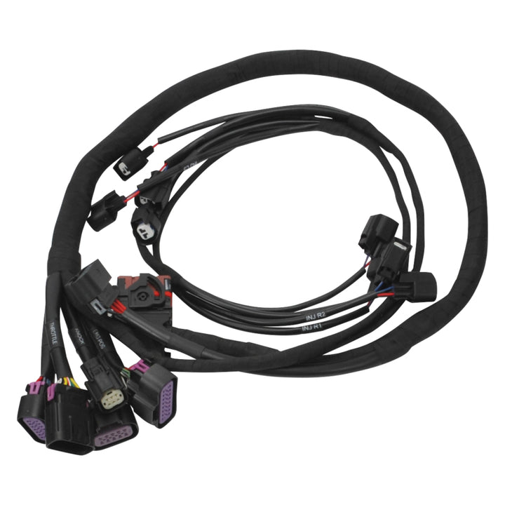Edelbrock 15-17 Ford Coyote Pro-Flo 4+ EFI Engine Management System