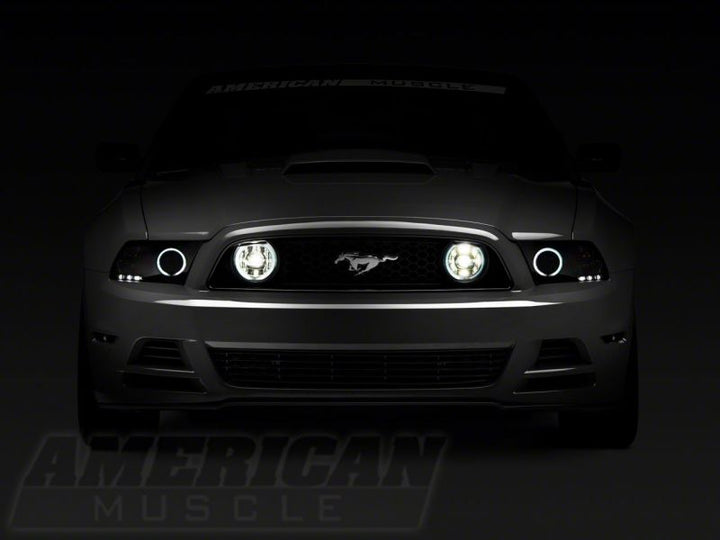 Raxiom 13-14 Ford Mustang GT CCFL Halo Fog Lights- Chrome