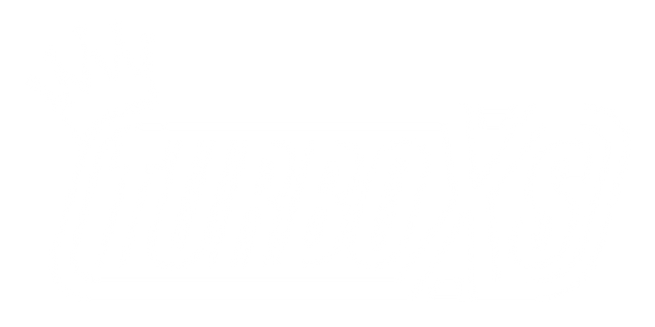 Turbo XS Gen 1 Eclipse  H BOV Adapter